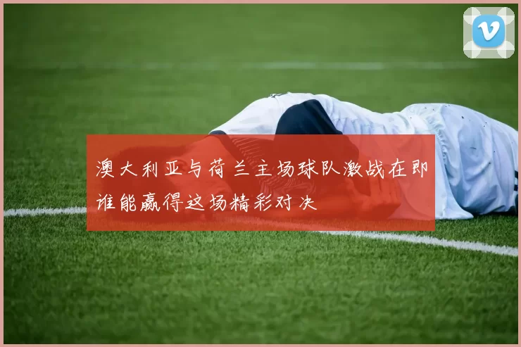 澳大利亚与荷兰主场球队激战在即谁能赢得这场精彩对决